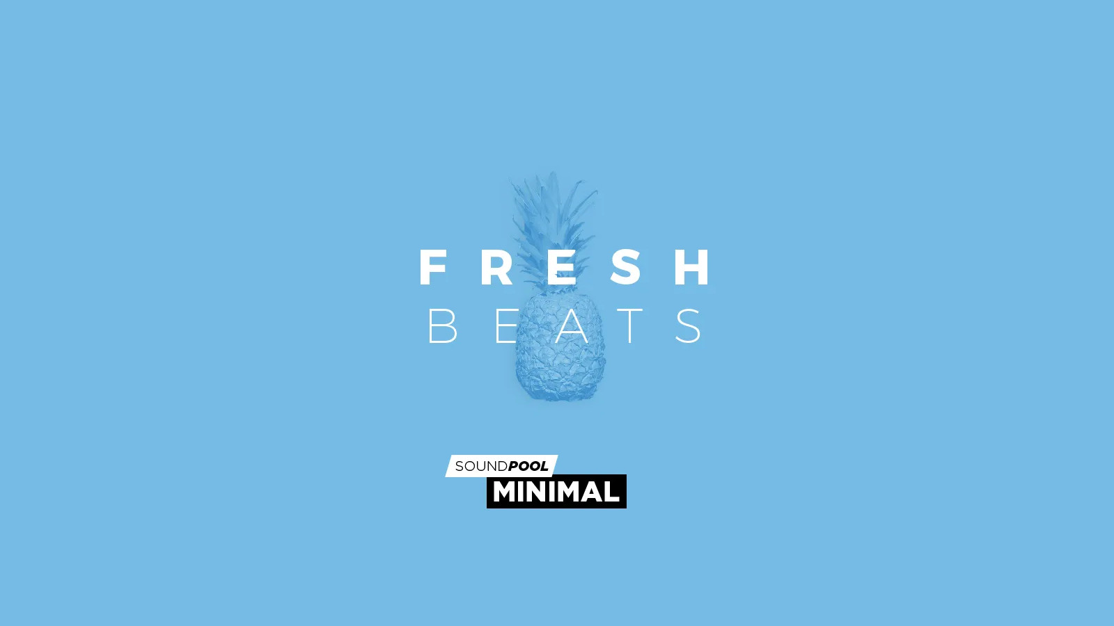 MAGIX Soundpool Fresh Beats ProducerPlanet CD Key (5.65$)