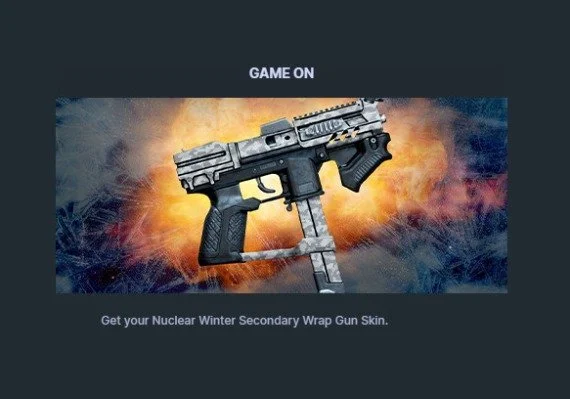 Rogue Company - Nuclear Winter Secondary Wrap Gun Skin DLC CD Key (0.32$)
