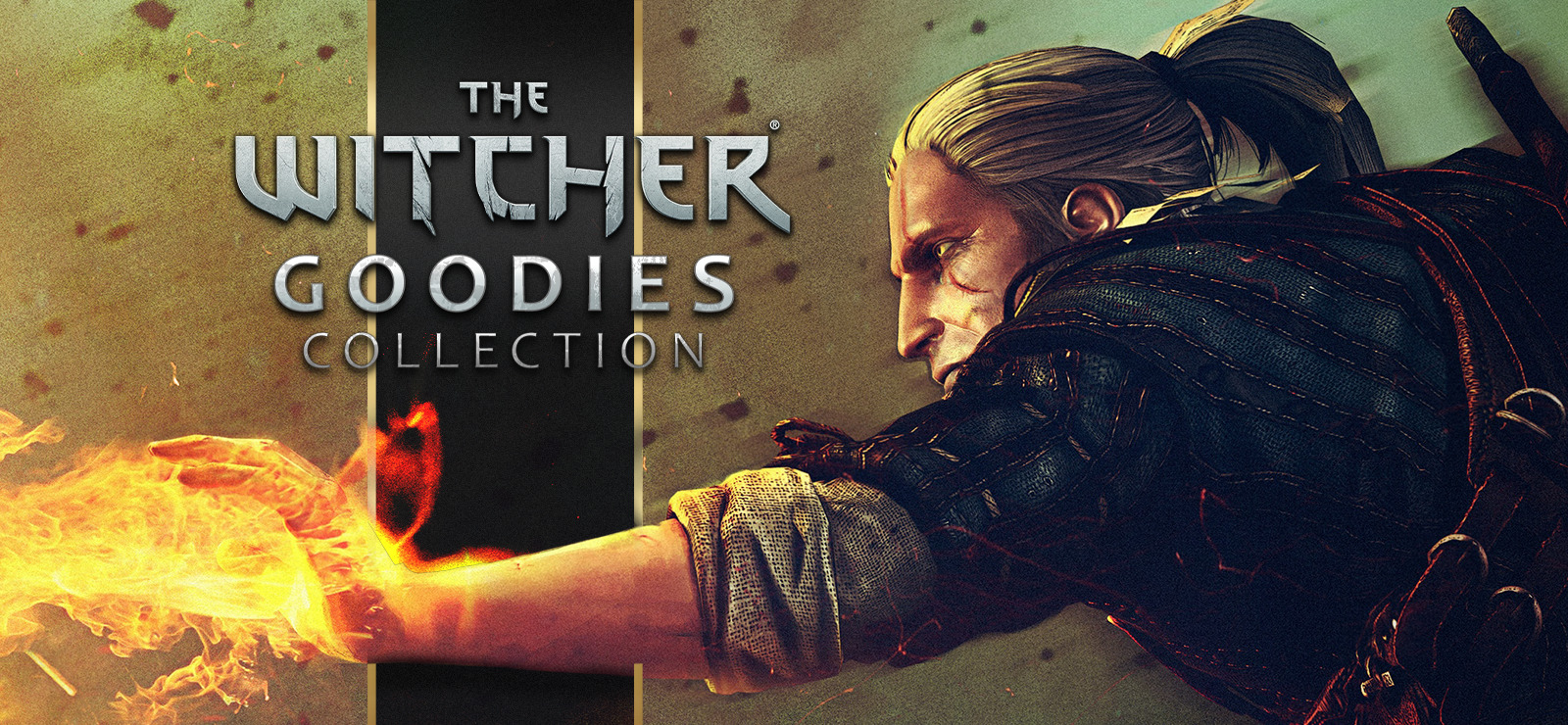 The Witcher - Goodies Collection GOG CD Key (2.54$)