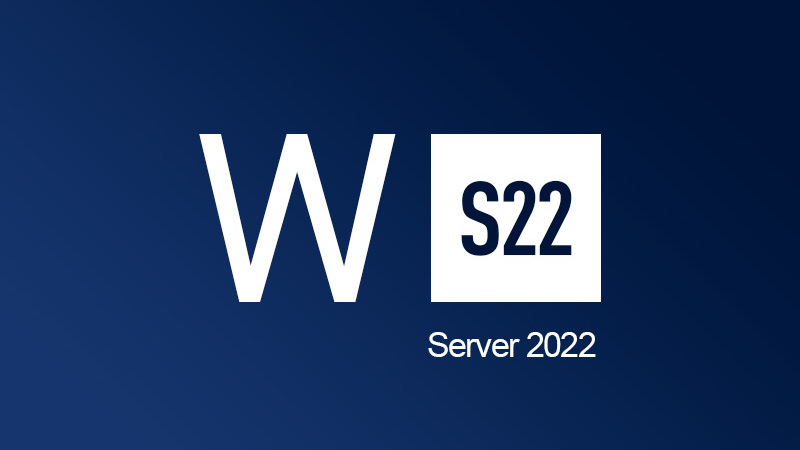 Windows Server 2022 CD Key (44.06$)