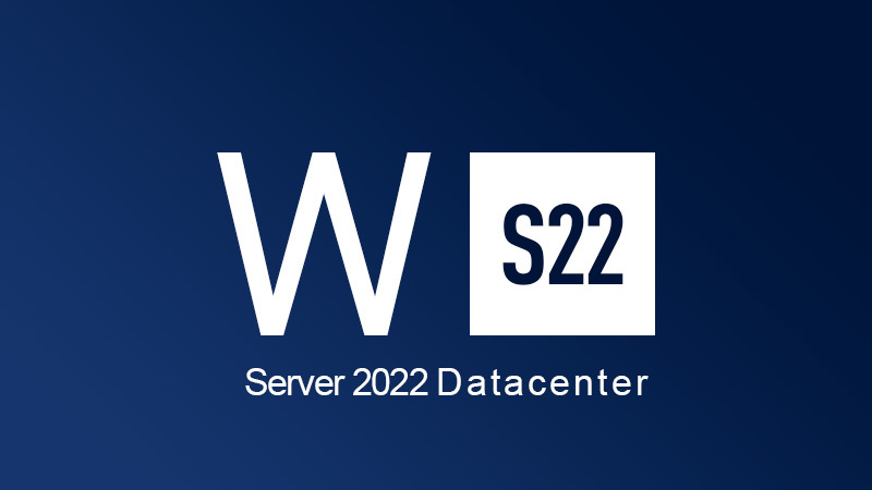 Windows Server 2022 Datacenter CD Key (45.19$)