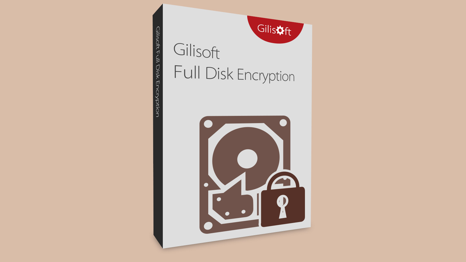Gilisoft Full Disk Encryption CD Key (19.72$)
