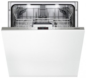 Gaggenau DF 460164 F 洗碗机 照片, 特点