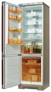 Electrolux ERB 4198 AC Refrigerator larawan, katangian