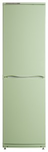 ATLANT ХМ 6025-082 Холодильник Фото, характеристики