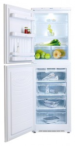 NORD 219-7-010 Refrigerator larawan, katangian