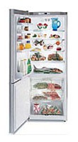 Gaggenau RB 272-250 Холодильник фото, Характеристики