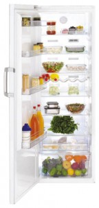 BEKO SN 140020 X Refrigerator larawan, katangian