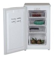WEST FR-1001 Tủ lạnh ảnh, đặc điểm