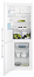 Electrolux EN 93441 JW Refrigerator larawan, katangian
