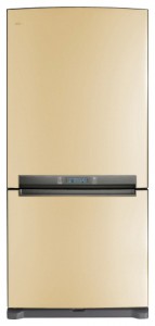 Samsung RL-62 ZBVB 冰箱 照片, 特点