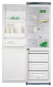 Daewoo Electronics ERF-385 AHE Холодильник фото, Характеристики