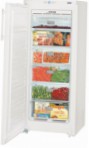 Liebherr GNP 2313 Refrigerator \ katangian, larawan