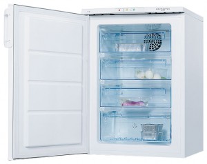 Electrolux EUF 10003 W 冰箱 照片, 特点