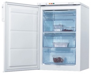 Electrolux EUT 10002 W 冰箱 照片, 特点