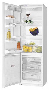 ATLANT ХМ 6024-100 Refrigerator larawan, katangian