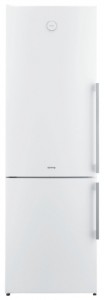 Gorenje RK 62 FSY2W2 Refrigerator larawan, katangian