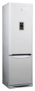 Hotpoint-Ariston RMBH 1200 F Холодильник фото, Характеристики