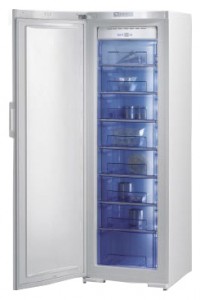 Gorenje FN 61230 DW Холодильник фото, Характеристики