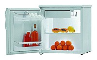 Gorenje R 0907 BAC Refrigerator larawan, katangian