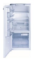 Siemens KI26F40 Холодильник Фото, характеристики