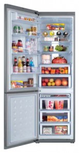 Samsung RL-55 VQBUS Refrigerator larawan, katangian
