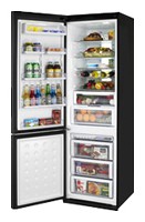 Samsung RL-55 VTEBG Tủ lạnh ảnh, đặc điểm