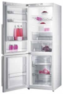 Gorenje RK 65 SYX Tủ lạnh ảnh, đặc điểm