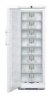 Liebherr G 3113 Refrigerator larawan, katangian