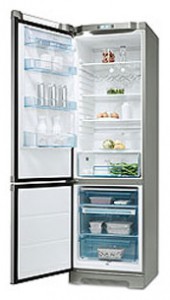 Electrolux ERB 39300 X Refrigerator larawan, katangian
