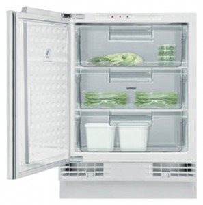 Gaggenau RF 200-200 Buzdolabı fotoğraf, özellikleri