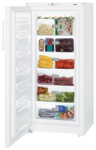 Liebherr GP 3013 Холодильник Фото, характеристики
