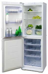 Бирюса 131 KLA Refrigerator larawan, katangian