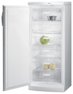 Gorenje F 6248 W Buzdolabı fotoğraf, özellikleri