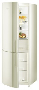 Gorenje RK 62341 C Refrigerator larawan, katangian