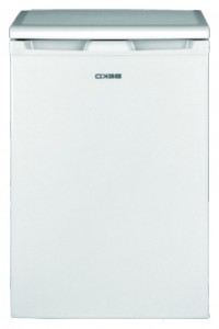 BEKO TSE 1402 Refrigerator larawan, katangian
