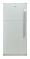 BEKO DN 150100 Ψυγείο φωτογραφία, χαρακτηριστικά