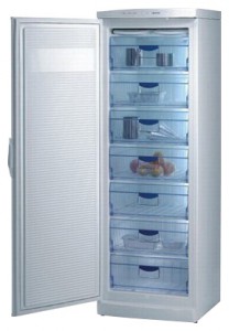 Gorenje F 6313 Buzdolabı fotoğraf, özellikleri