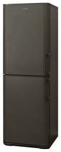 Бирюса W125 KLSS Refrigerator larawan, katangian