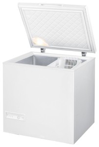 Gorenje FH 210 W Холодильник Фото, характеристики