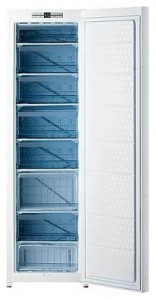 Kaiser G 16333 Tủ lạnh ảnh, đặc điểm