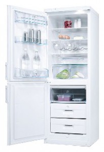 Electrolux ERB 31099 W Buzdolabı fotoğraf, özellikleri