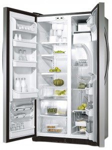 Electrolux ERL 6296 XX Tủ lạnh ảnh, đặc điểm