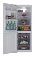 Samsung RL-40 EGSW Ψυγείο φωτογραφία, χαρακτηριστικά