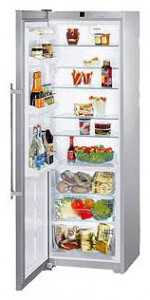 Liebherr KBesf 4210 Refrigerator larawan, katangian