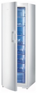 Gorenje F 60308 DW Tủ lạnh ảnh, đặc điểm