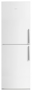ATLANT ХМ 6323-100 Tủ lạnh ảnh, đặc điểm
