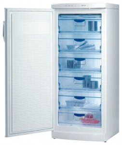 Gorenje F 6243 W Refrigerator larawan, katangian