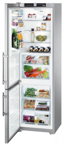 Liebherr CBNPes 3756 Refrigerator larawan, katangian