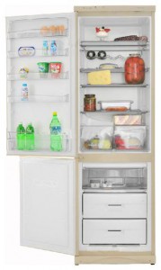 Snaige RF390-1713A Refrigerator larawan, katangian